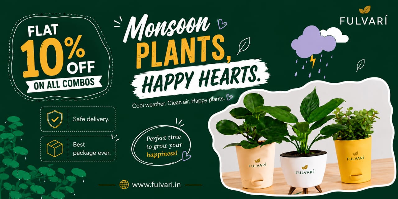 Monsoon Offers