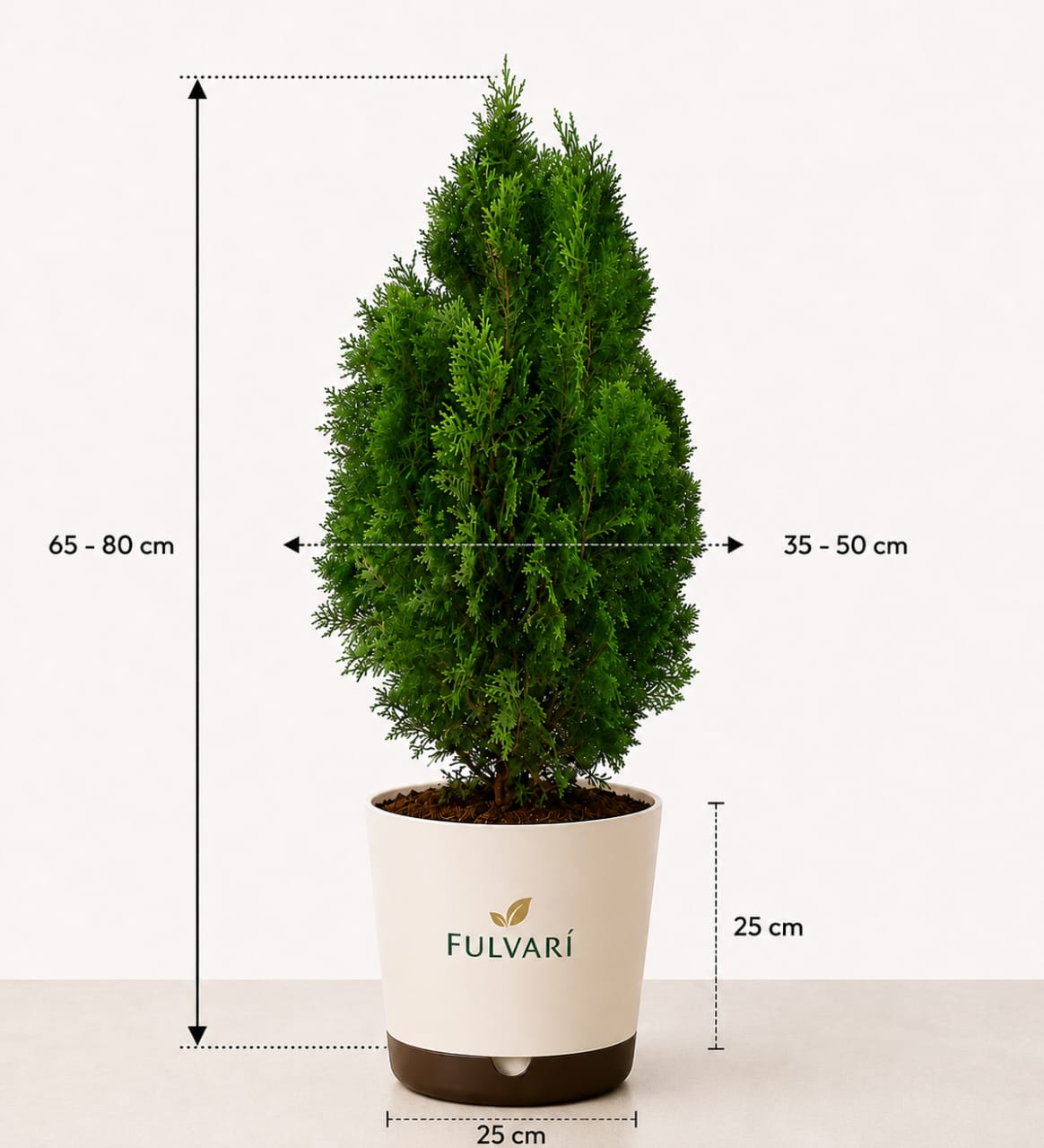 product/DT5R54DWuUKCSGVa2O6P9nTlKuOtkh0kWIWMilGw.jpg